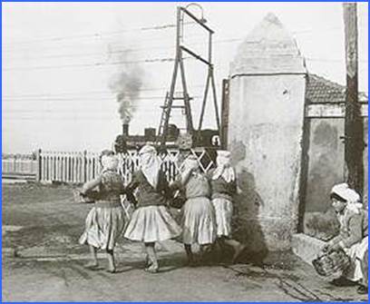 franco pinna 1953 - neorealiso